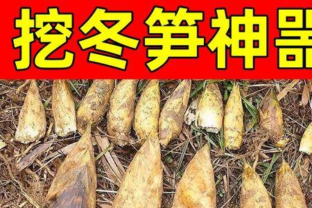 淘宝买的冬笋探测仪有用吗