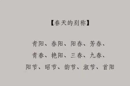小学的别称和雅称