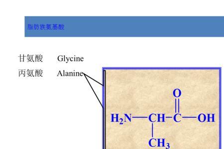 具有旋光性的氨基酸有哪些