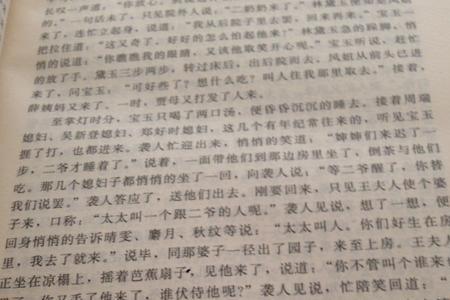 红楼梦第20回梗概