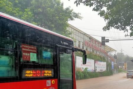重庆公交873停运了吗