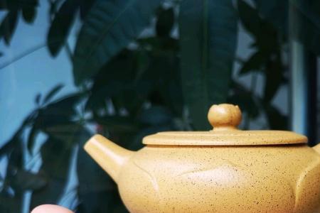 芝麻白玉段泥紫砂壶特点