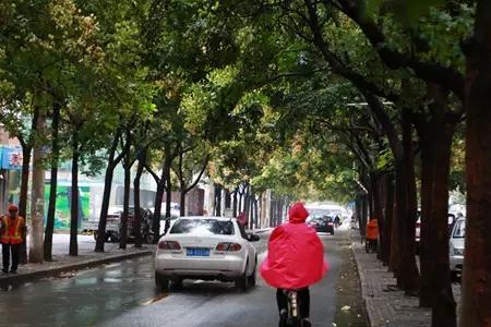 整个河南都在下雨吗