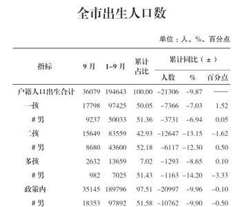 2004年湖北出生人口