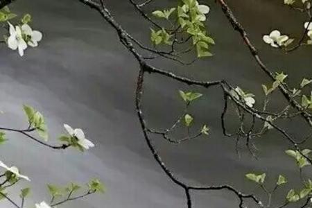 清明澄澈是什么意思