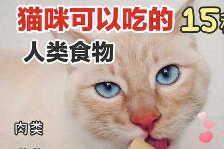 猫可以吃微波炉加热的食物吗