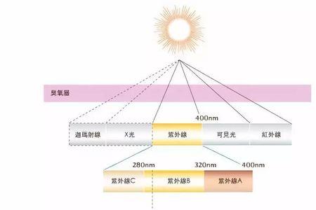 楼层高度对臭氧影响