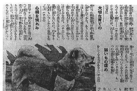 八公活了多少岁