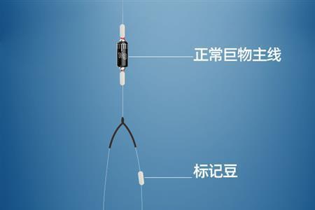 路亚滑铅钓法子线需好长