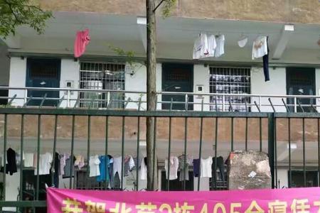大学四年体挂了怎么办