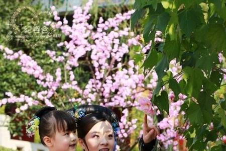 温宜公主历史上嫁给了谁