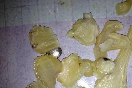 生附片煮出来是苦的吗
