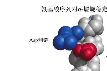 氨基酸中侧链是什么