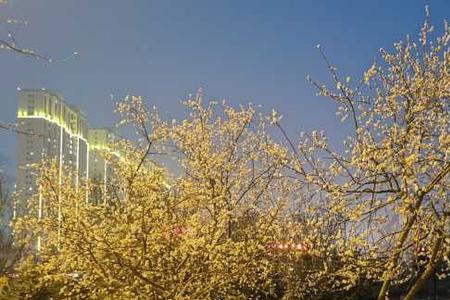 城市的春夏秋冬原唱