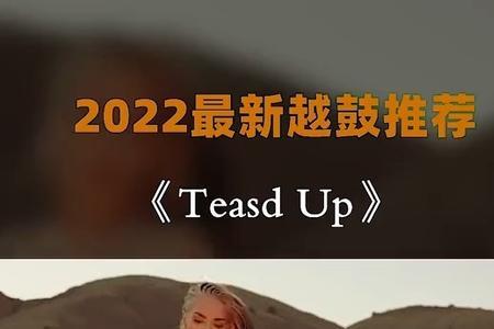 什么是越南鼓
