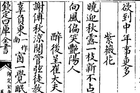 和宣州沈大夫登北楼书怀