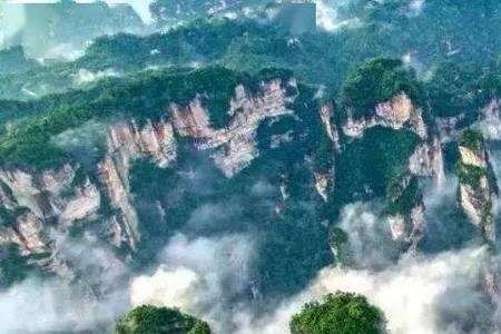张家界旅发会多少天