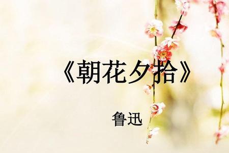 朝花夕拾的主要定位