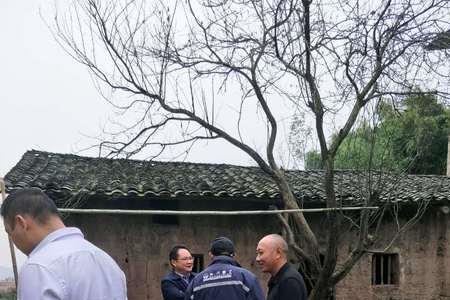 旧房丈量找什么单位