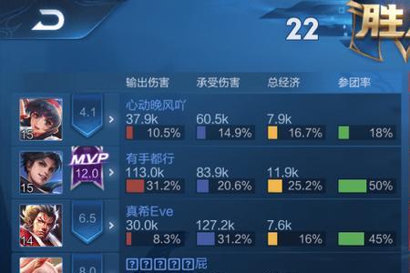 王者意识型选手什么意思