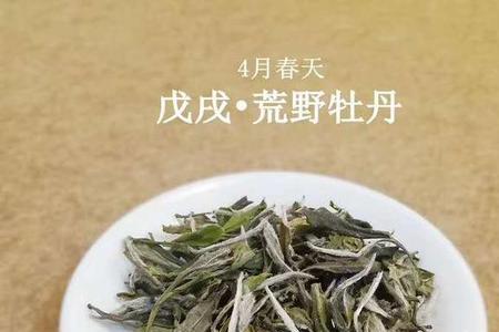 昊天白茶特点