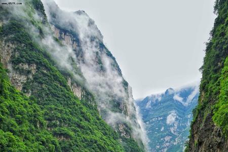 金口河大峡谷离乐山大佛多远