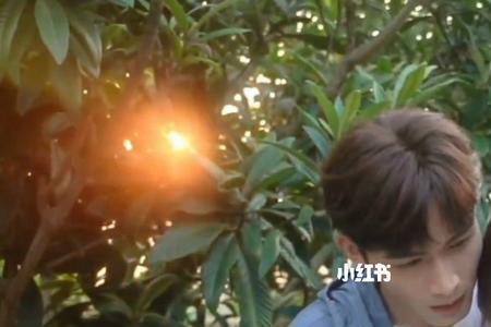 两个人的小森林庄羽家世