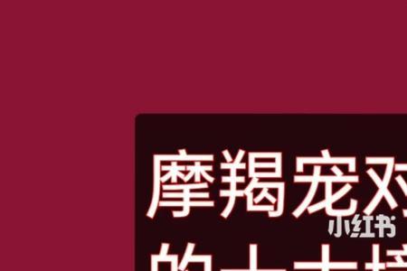 摩羯女最喜欢的肢体接触