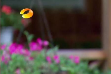 流星雨楚雨荨什么星座