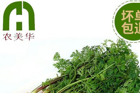 红萝卜带叶子保鲜时间长吗