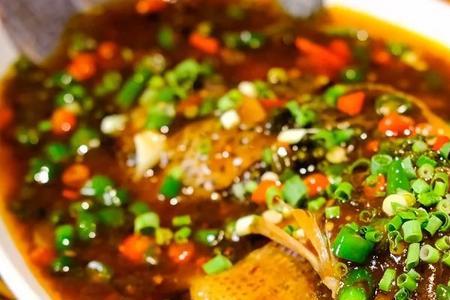 小蜜蜂鱼凶吗