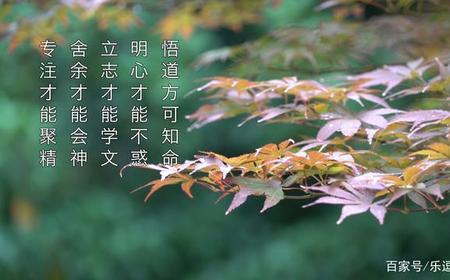 仁治什么意思