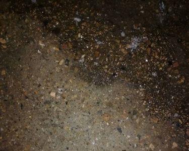 下雨天家里出现蜈蚣怎么回事