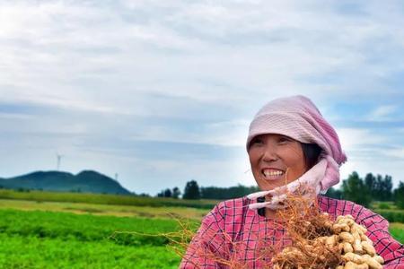 中国花生最大产地