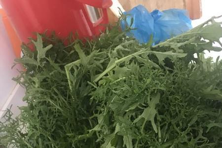 腌芥菜叶几天能添水