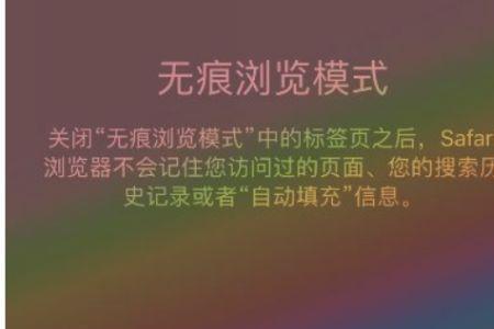 苹果手机设置safari建议是什么