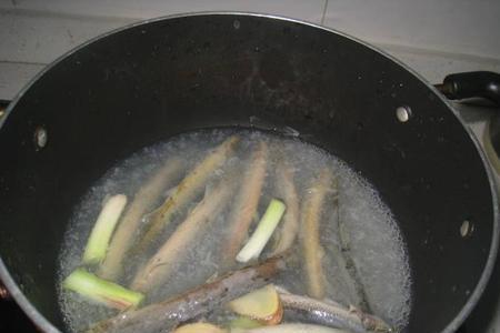泥鳅刚买回来该如何正确处理