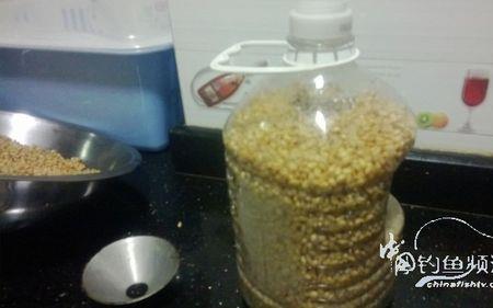 邓刚鲫鱼酒米最佳配方