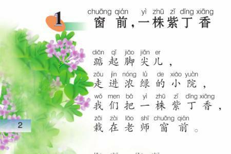 一株紫丁香是谁写给谁的