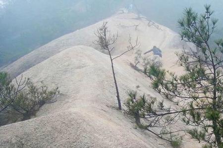 龙须山特产