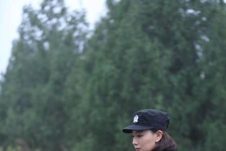 警花与警犬一共有多少季