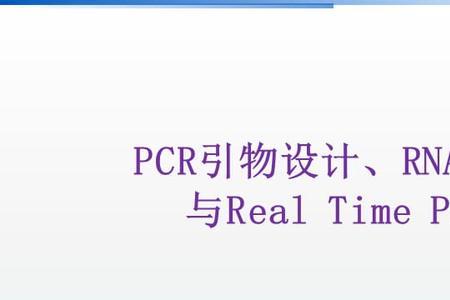 pcr技术引物和谁结合