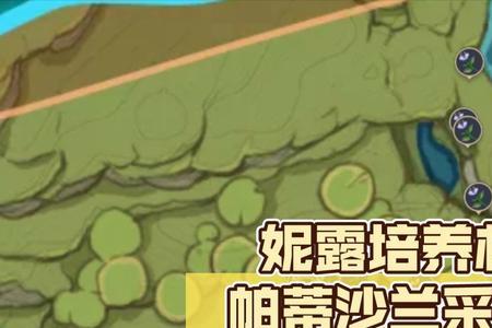帕蒂沙兰又叫啥