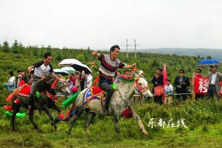乐都虎林村是什么民族