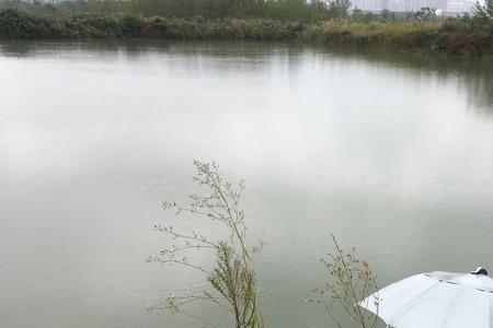 下雨多久好钓鱼
