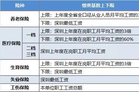 公司只给员工买四险合法吗