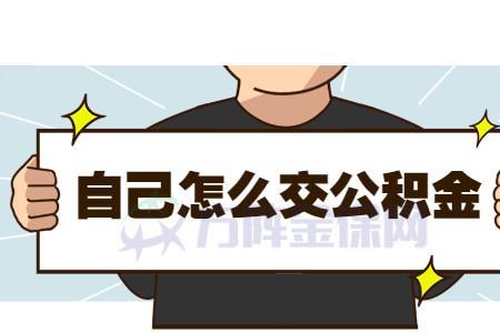 公司一个月交500多公积金高嘛