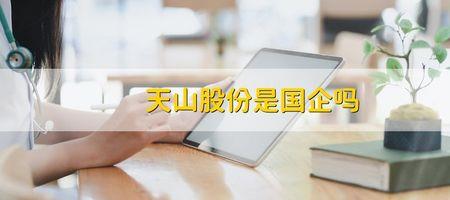 新天山水泥是国企还是央企
