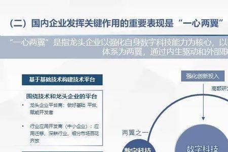 什么是数字科学和大数字技术