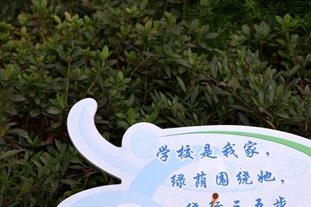 活泼文明考试标语
